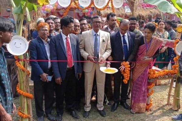কলারোয়া শেখ আমানুল্লাহ ডিগ্রি কলেজে দিনব্যাপী পিঠাপুলির উৎসব